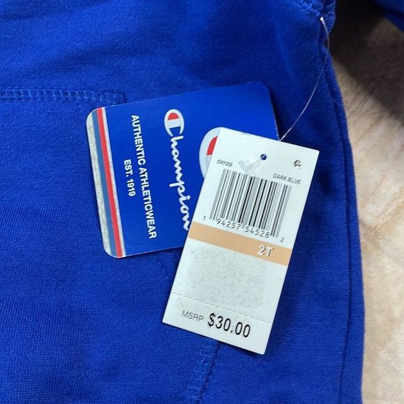 Champion Toddler Boys Signature Fleece Hoodie Size 2T - Picture 10 of 12